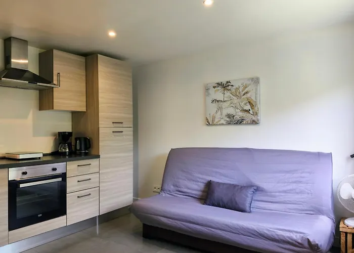 Villa Occitanie 20 M2 Equipe Avec Jardin Muret