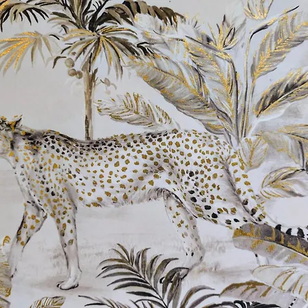 Occitanie 20 M2 Equipe Avec Jardin * Muret