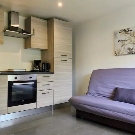 Villa Occitanie 20 M2 Equipe Avec Jardin