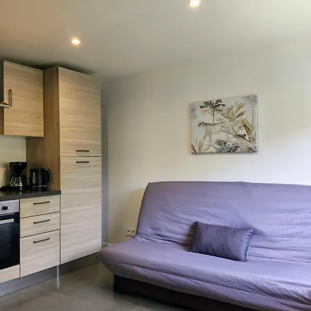 Villa Occitanie 20 M2 Equipe Avec Jardin Muret