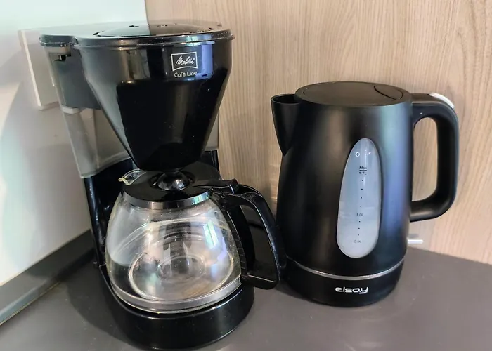 Occitanie 20 M2 Equipe Avec Jardin * Muret