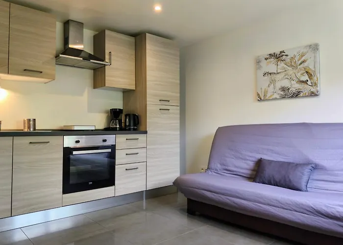 Villa Occitanie 20 M2 Equipe Avec Jardin